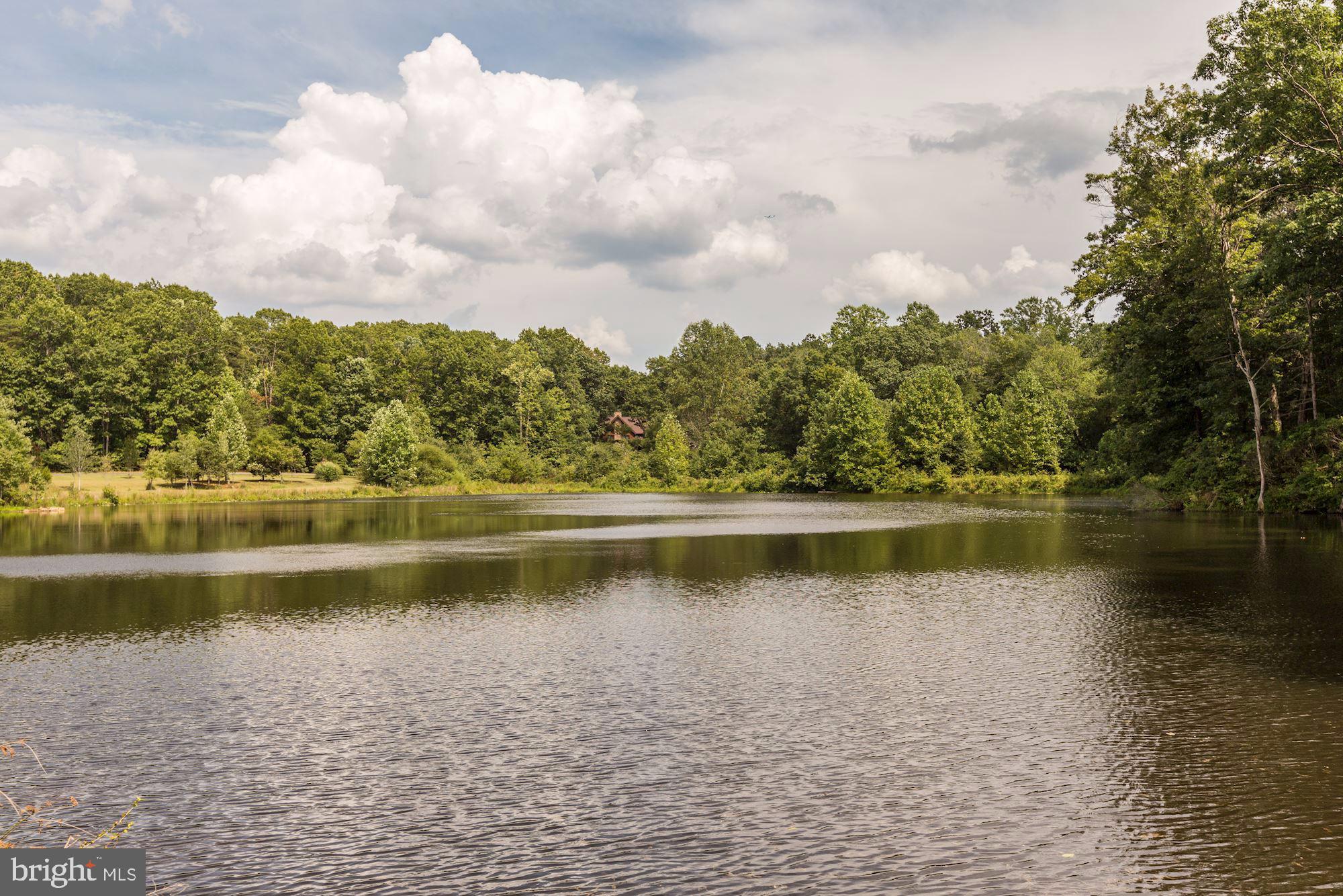 2169 Beaver Dam Road Midland, VA 22728 - Photo 5 of 71 Pond on the property!