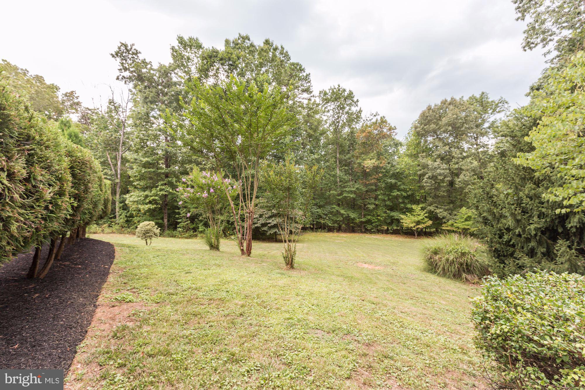 2169 Beaver Dam Road Midland, VA 22728 - Photo 67 of 71 Beautiful vegetation.