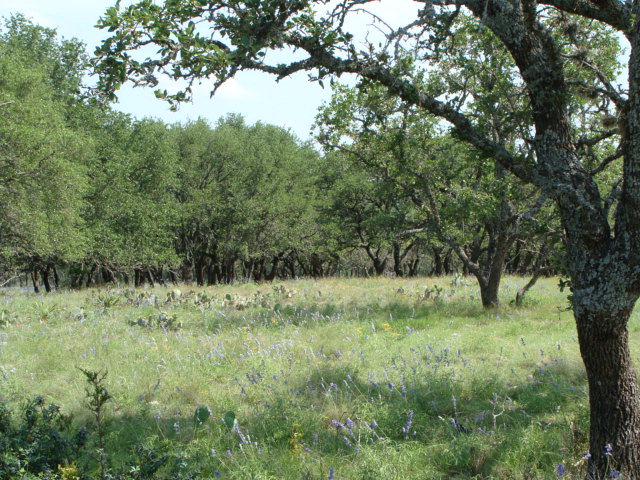 385 Ringtail Road, Unit D4 Harper, TX 78631 - Photo 1 of 1 Main View