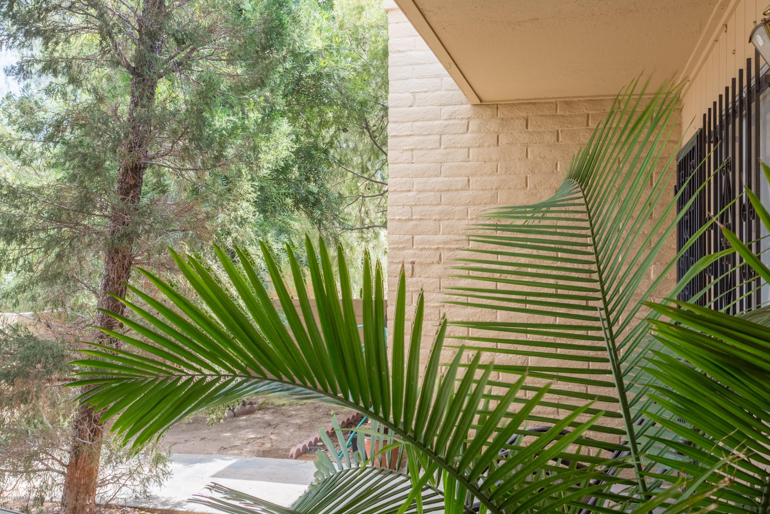 3546 South Mission Road, Unit B Tucson, AZ 85713 - Photo 13 of 15 a view of a plant in front of a house