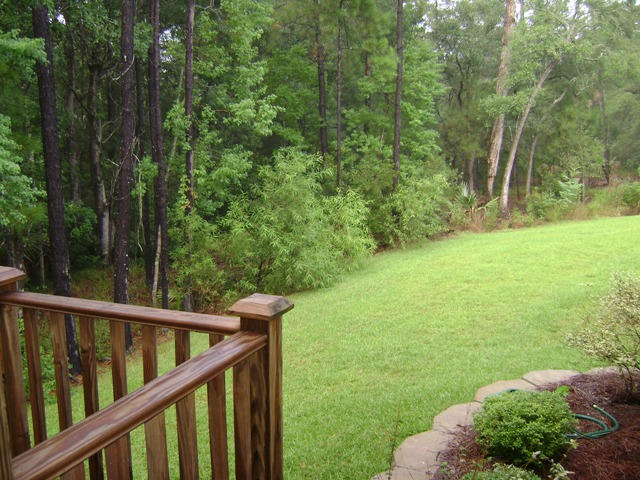 412 Doane Way Wando, SC 29492 - Photo 3 of 4 DSC00800