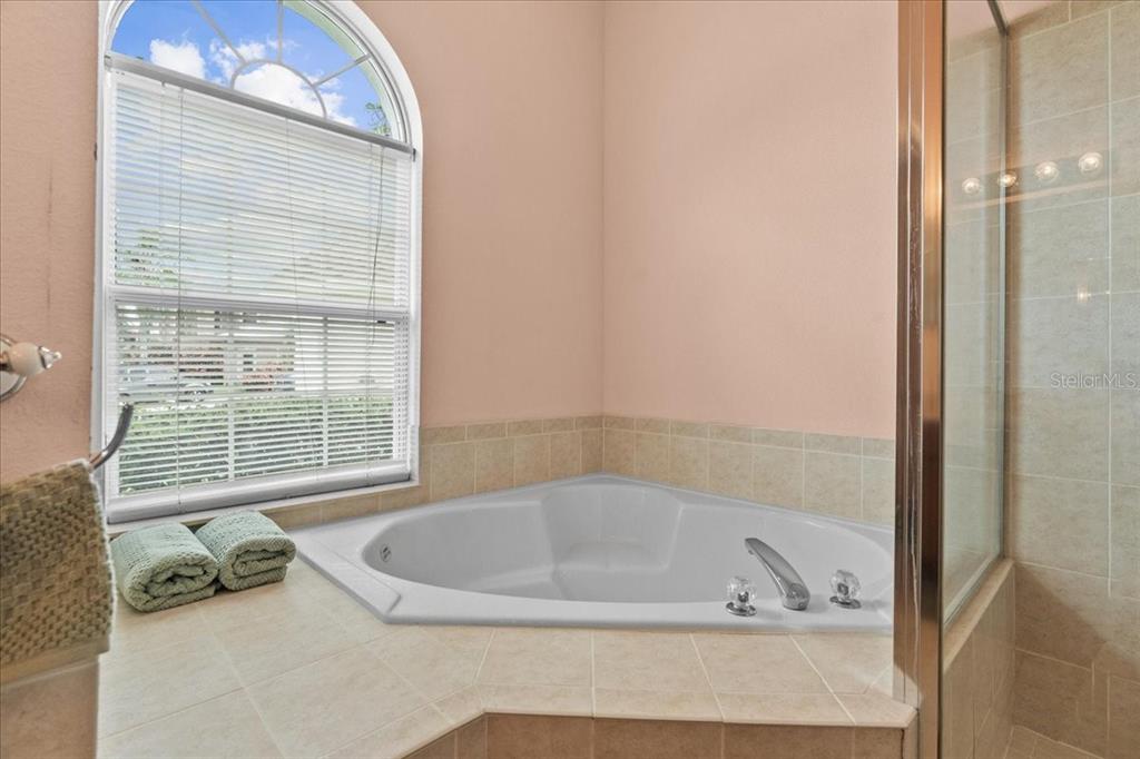 2622 Roughside Circle Kissimmee, FL 34746 - Photo 8 of 26 Gallery Image 8