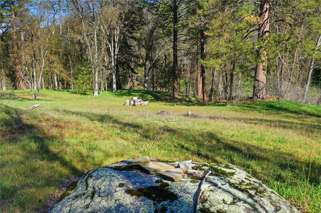 40833 Winding Way Oakhurst, CA 93644 - Photo 13 of 19