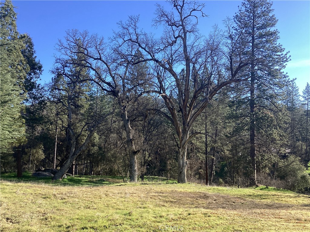 40833 Winding Way Oakhurst, CA 93644 - Photo 4 of 19