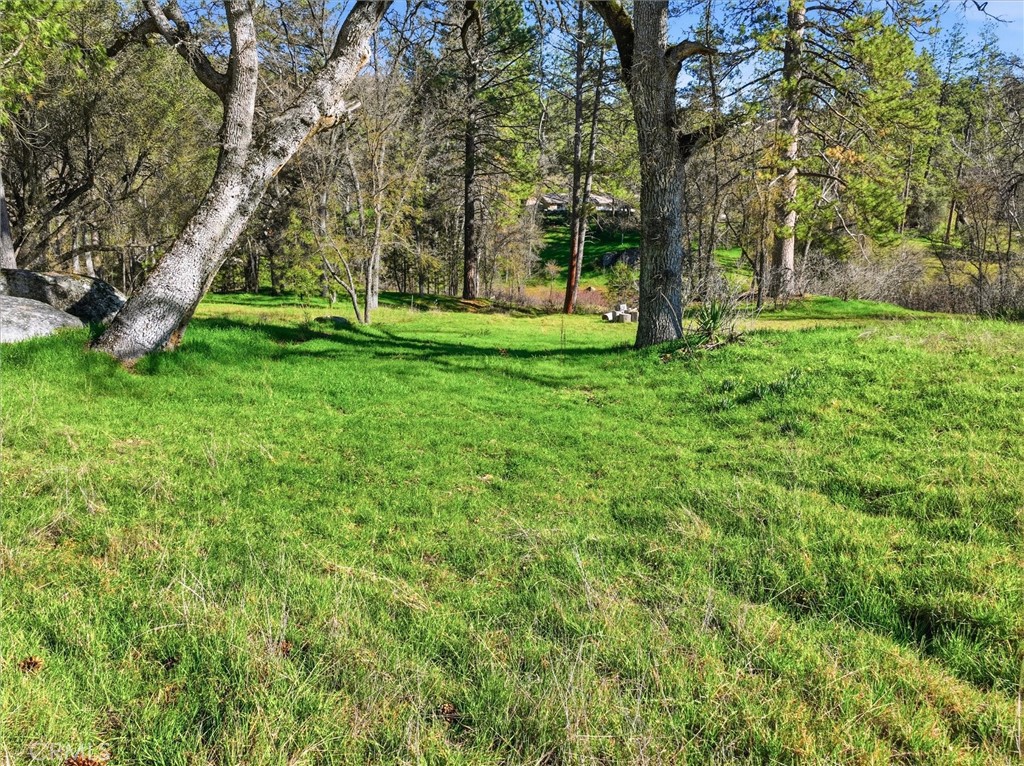 40833 Winding Way Oakhurst, CA 93644 - Photo 9 of 19