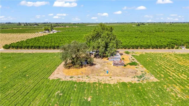 a view of a garden with an outdoor space