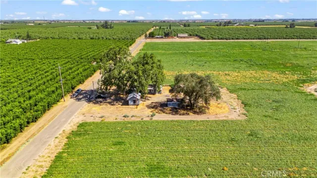 a view of a garden with an outdoor space