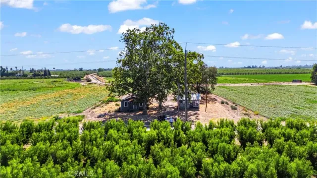 a view of a garden with an ocean