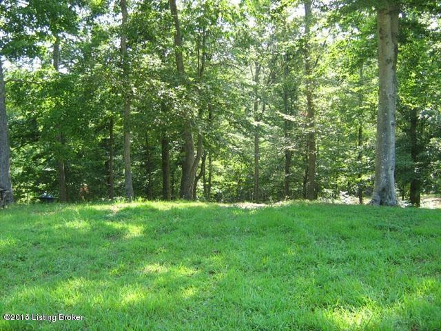 Lot 7-3 Mayflower Road Leitchfield, KY 42207 - Photo 9 of 10 20140501182903521331000000-o