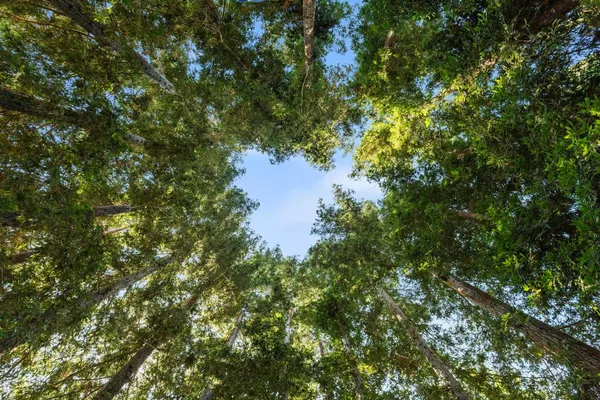 $1,150,000 | 7327 Garden Highway, Yuba City, CA 95991