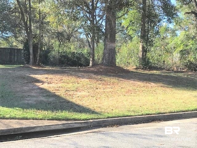 0 Pherin Woods Court Mobile, AL 36608 - Photo 3 of 11 View of yard