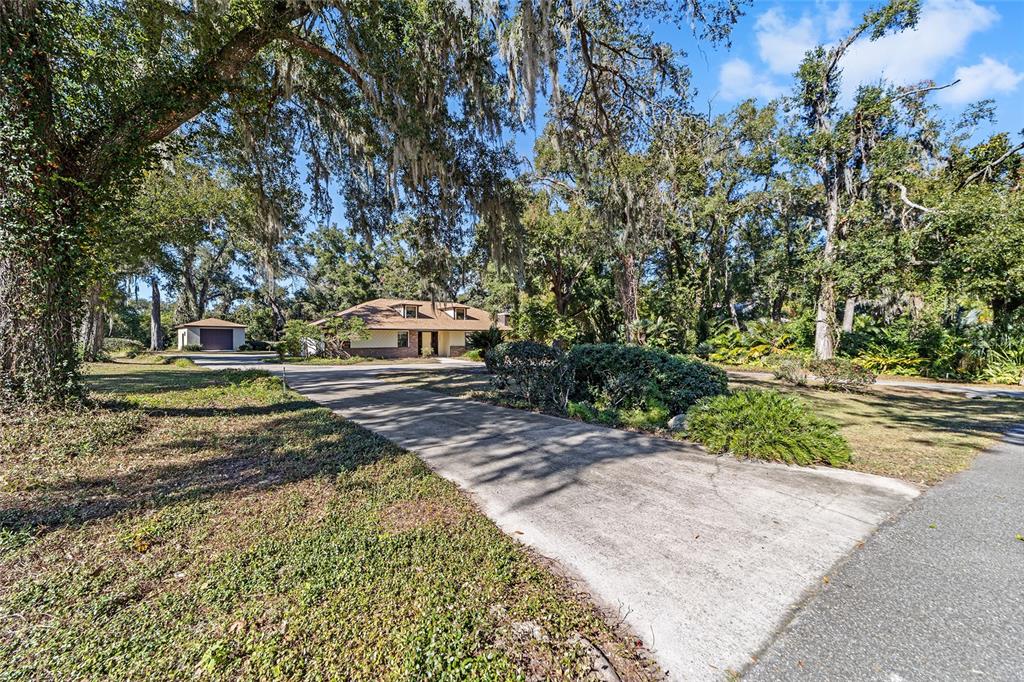 3590 Southwest 24th Avenue Road Ocala, FL 34471 - Photo 65 of 76 Privacy galore