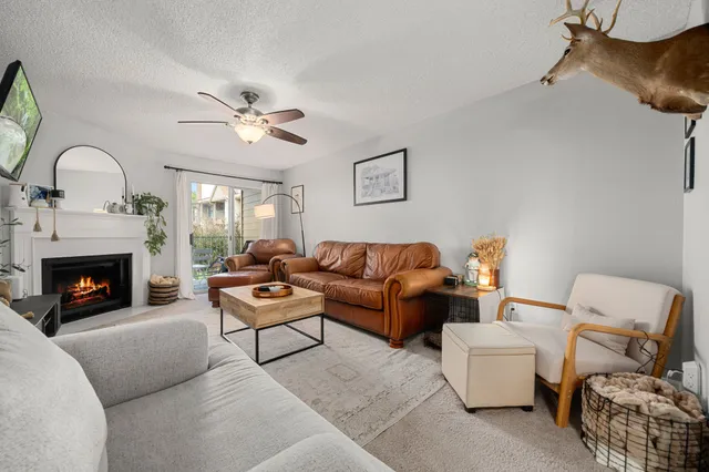 a living room with furniture a fireplace and a flat screen tv