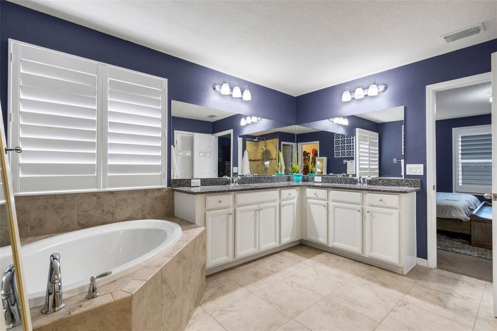 19613 Long Lake Ranch Boulevard Lutz, FL 33558 - Photo 15 of 59 a large bathroom with a tub a sink and a large mirror
