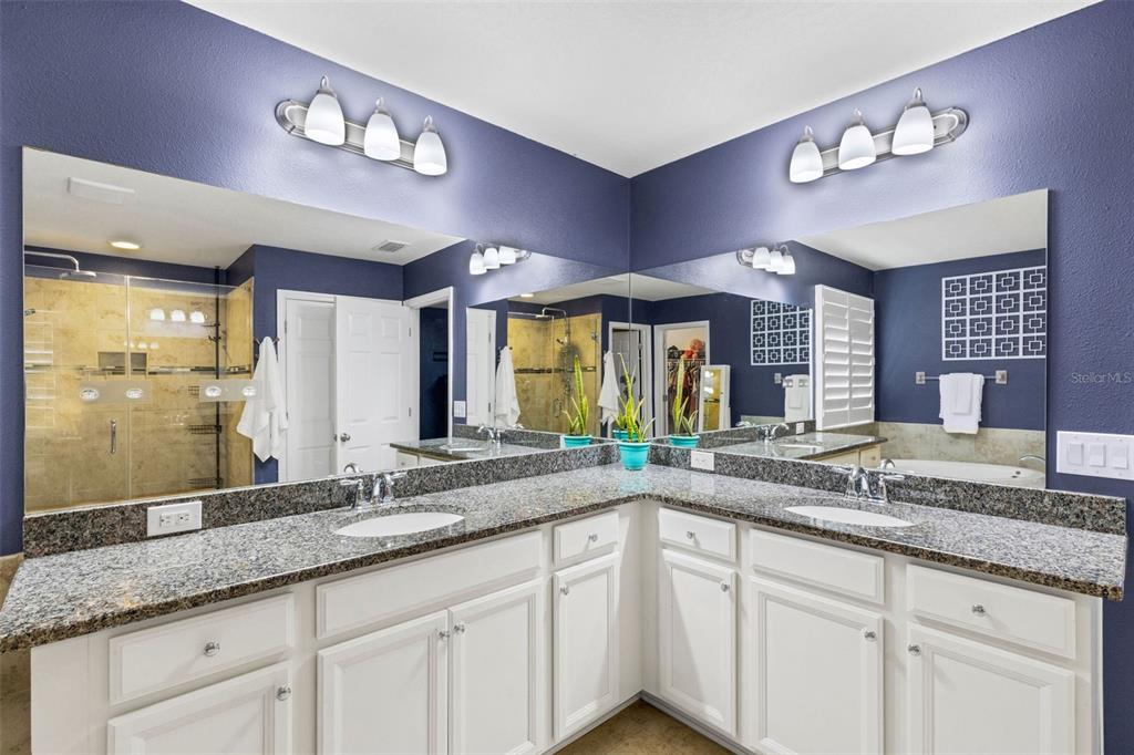 19613 Long Lake Ranch Boulevard Lutz, FL 33558 - Photo 17 of 59 a bathroom with a sink and a large mirror