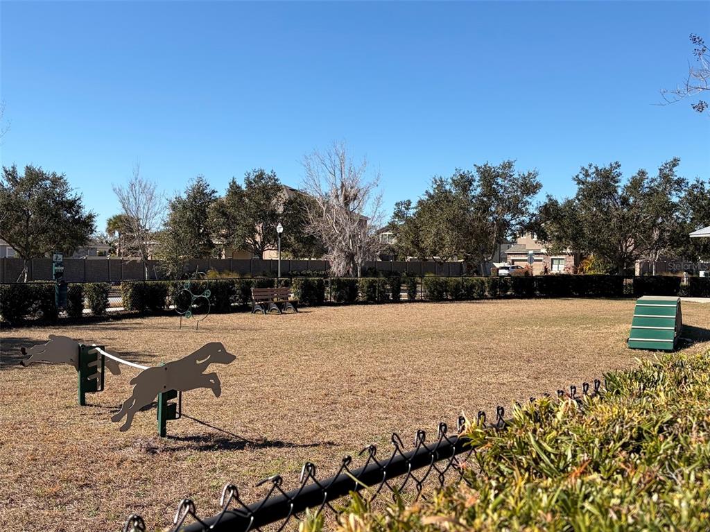 19613 Long Lake Ranch Boulevard Lutz, FL 33558 - Photo 50 of 59