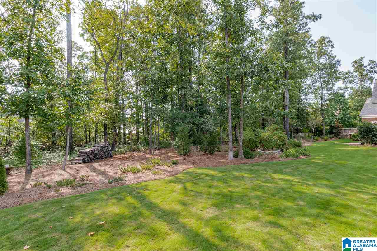 462 Renaissance Drive Hoover, AL 35226 - Photo 41 of 50