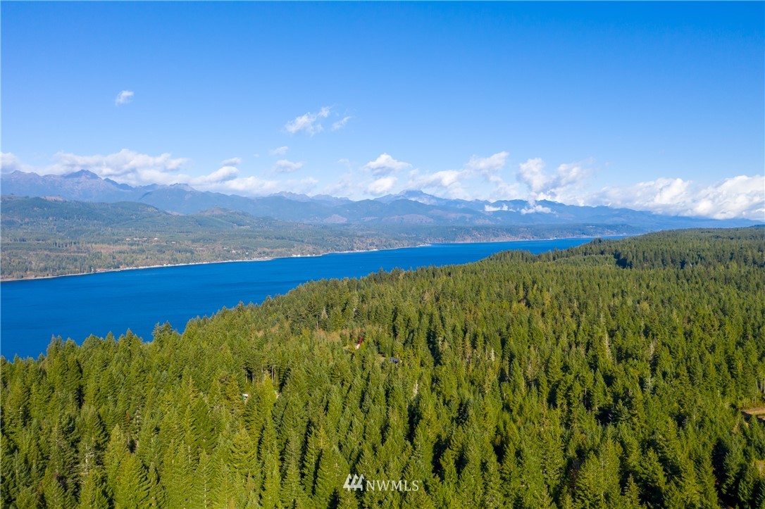 37 Northeast Rendsland Creek Road Tahuya, WA 98588 - Photo 14 of 17 Gallery Image 14