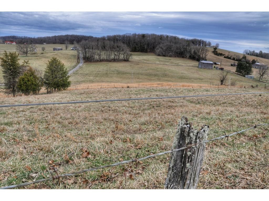 4485 West Allens Bridge Road Greeneville, TN 37743 - Photo 26 of 36 Photo 26