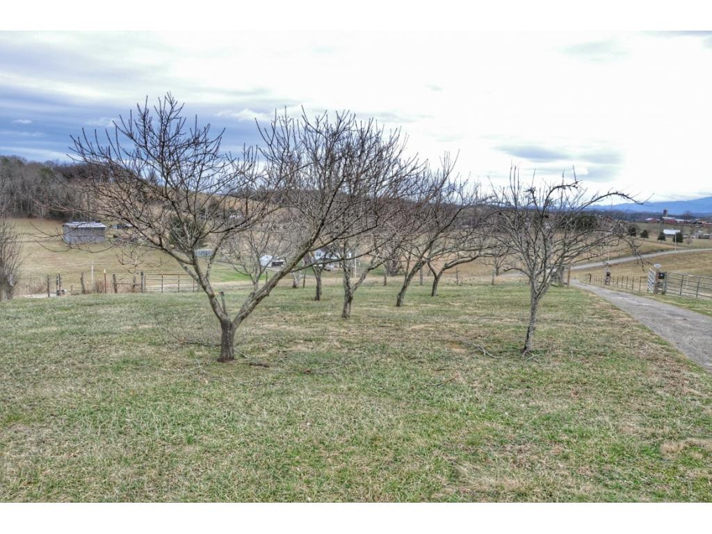 4485 West Allens Bridge Road Greeneville, TN 37743 - Photo 33 of 36 Photo 33