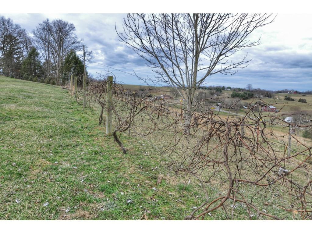 4485 West Allens Bridge Road Greeneville, TN 37743 - Photo 34 of 36 Photo 34