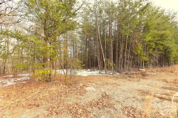 $129,900 | 0 King Stepp Road, Mill Spring, NC 28756