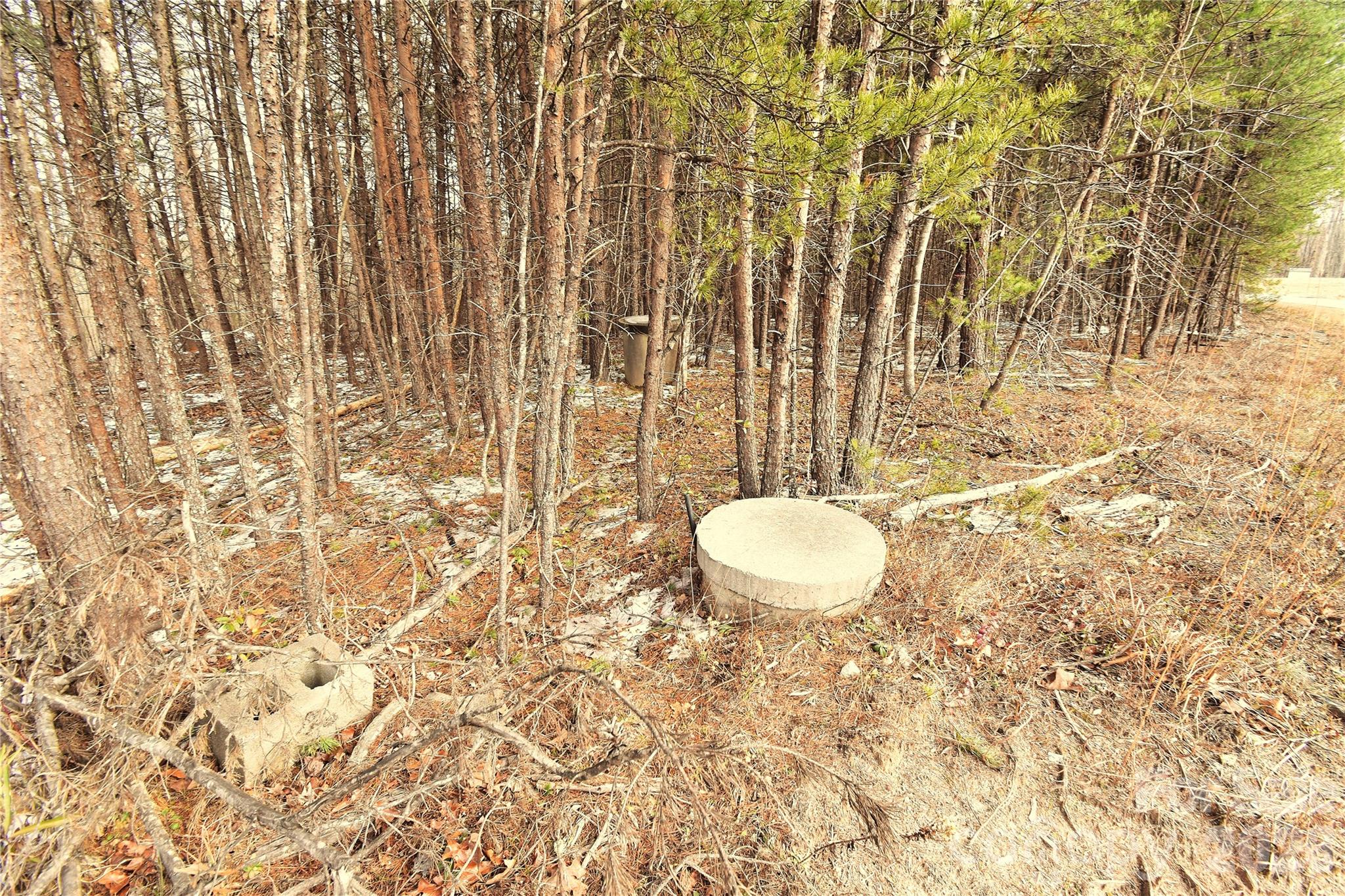 0 King Stepp Road Mill Spring, NC 28756 - Photo 4 of 12