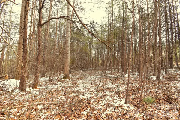 $129,900 | 0 King Stepp Road, Mill Spring, NC 28756