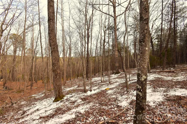 $129,900 | 0 King Stepp Road, Mill Spring, NC 28756