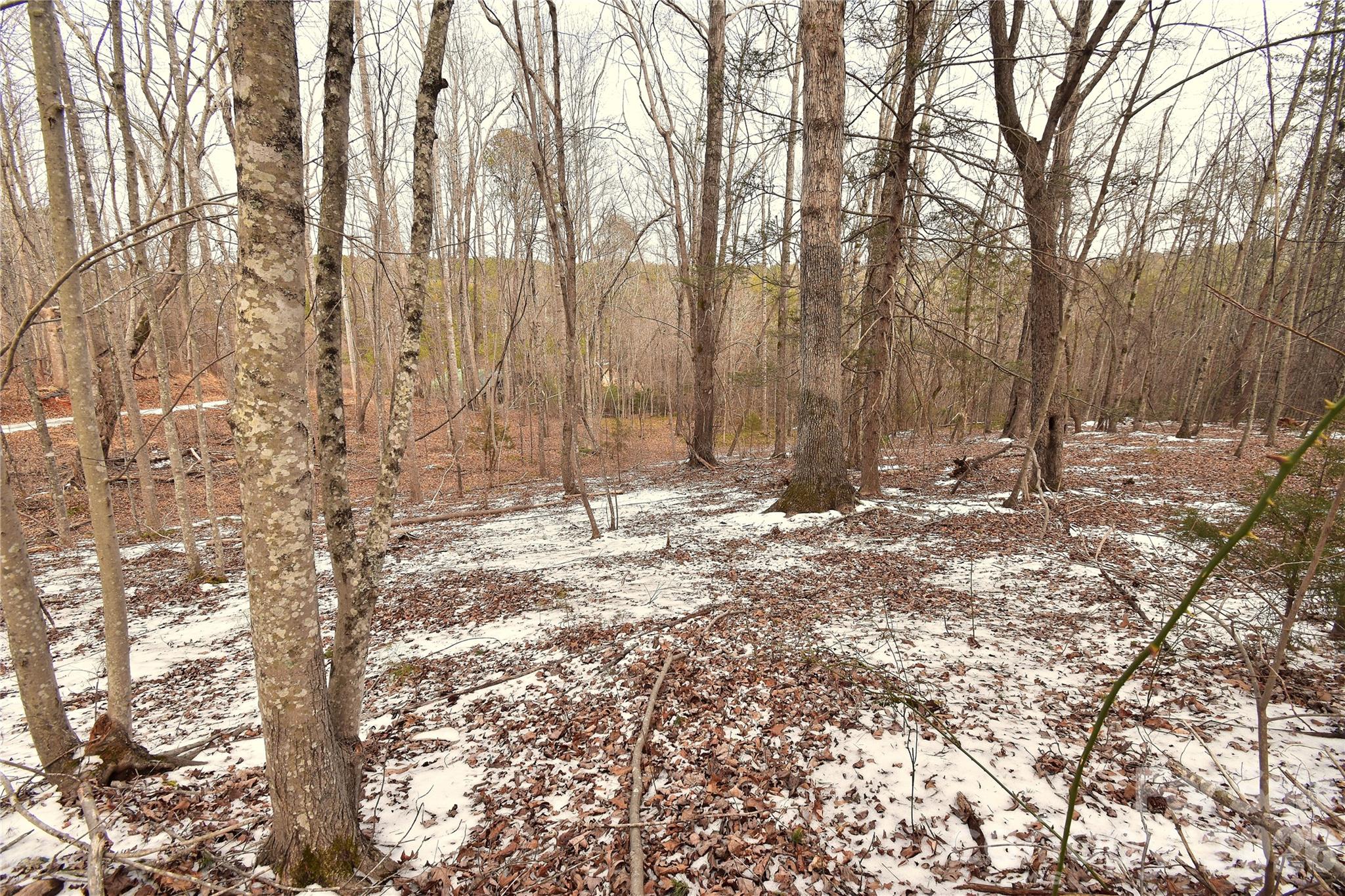 0 King Stepp Road Mill Spring, NC 28756 - Photo 7 of 12