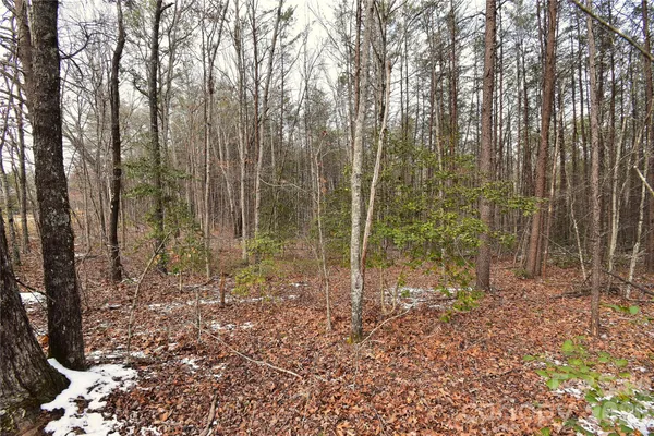 $129,900 | 0 King Stepp Road, Mill Spring, NC 28756