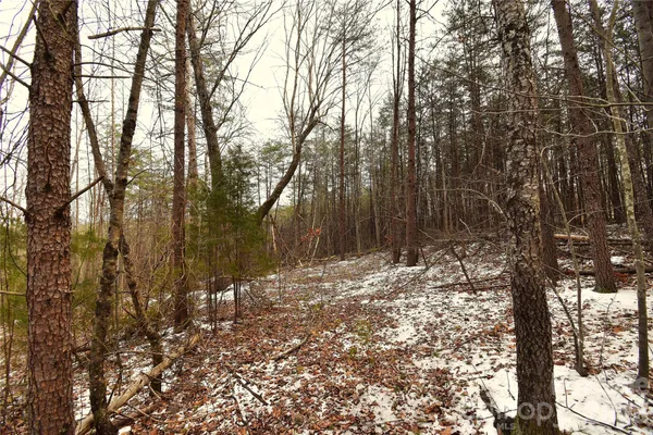$129,900 | 0 King Stepp Road, Mill Spring, NC 28756