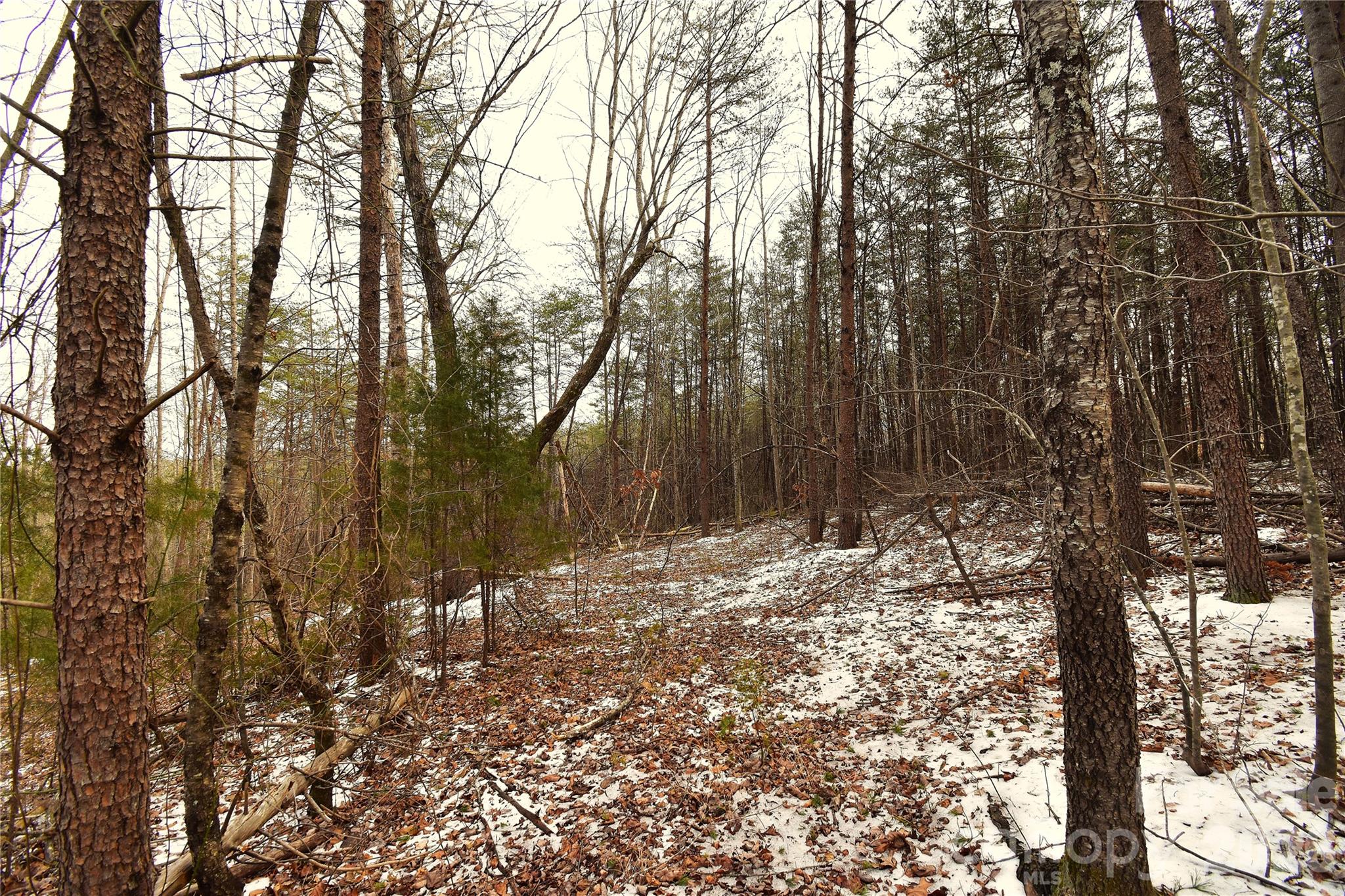 0 King Stepp Road Mill Spring, NC 28756 - Photo 9 of 12