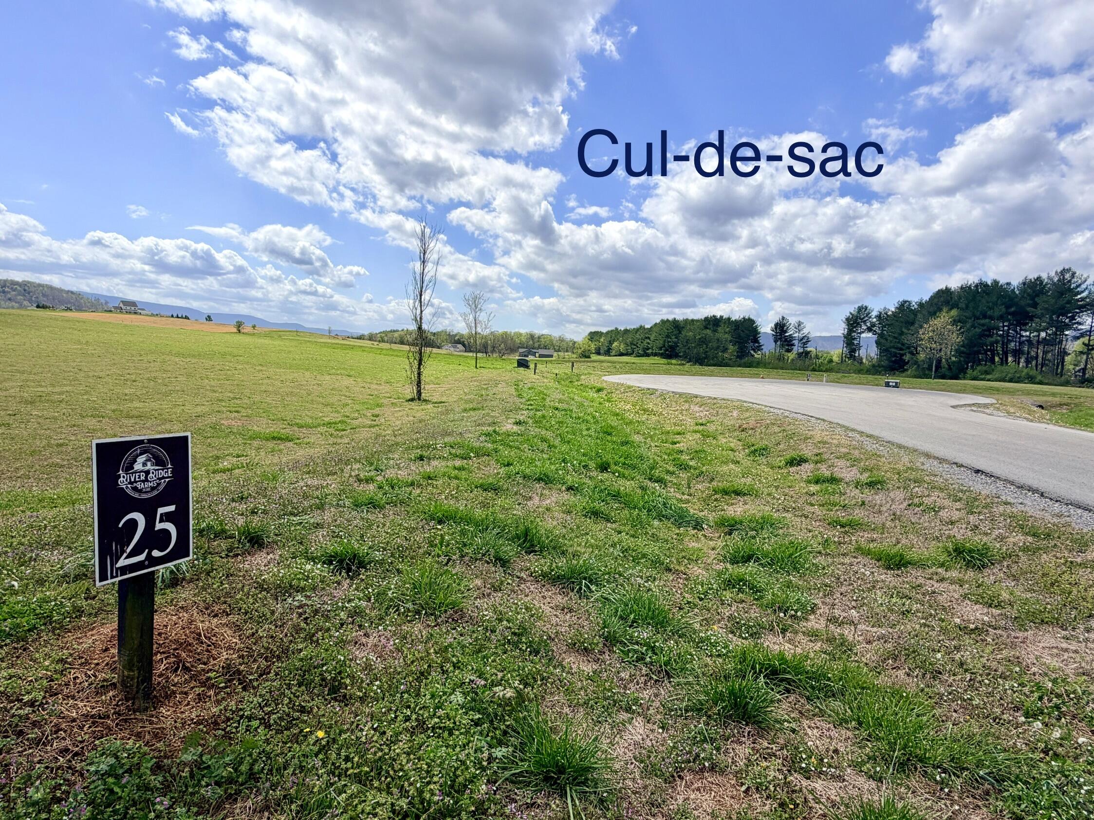 25 River Ridge Drive Dunlap, TN 37327 - Photo 3 of 15 IMG_1907