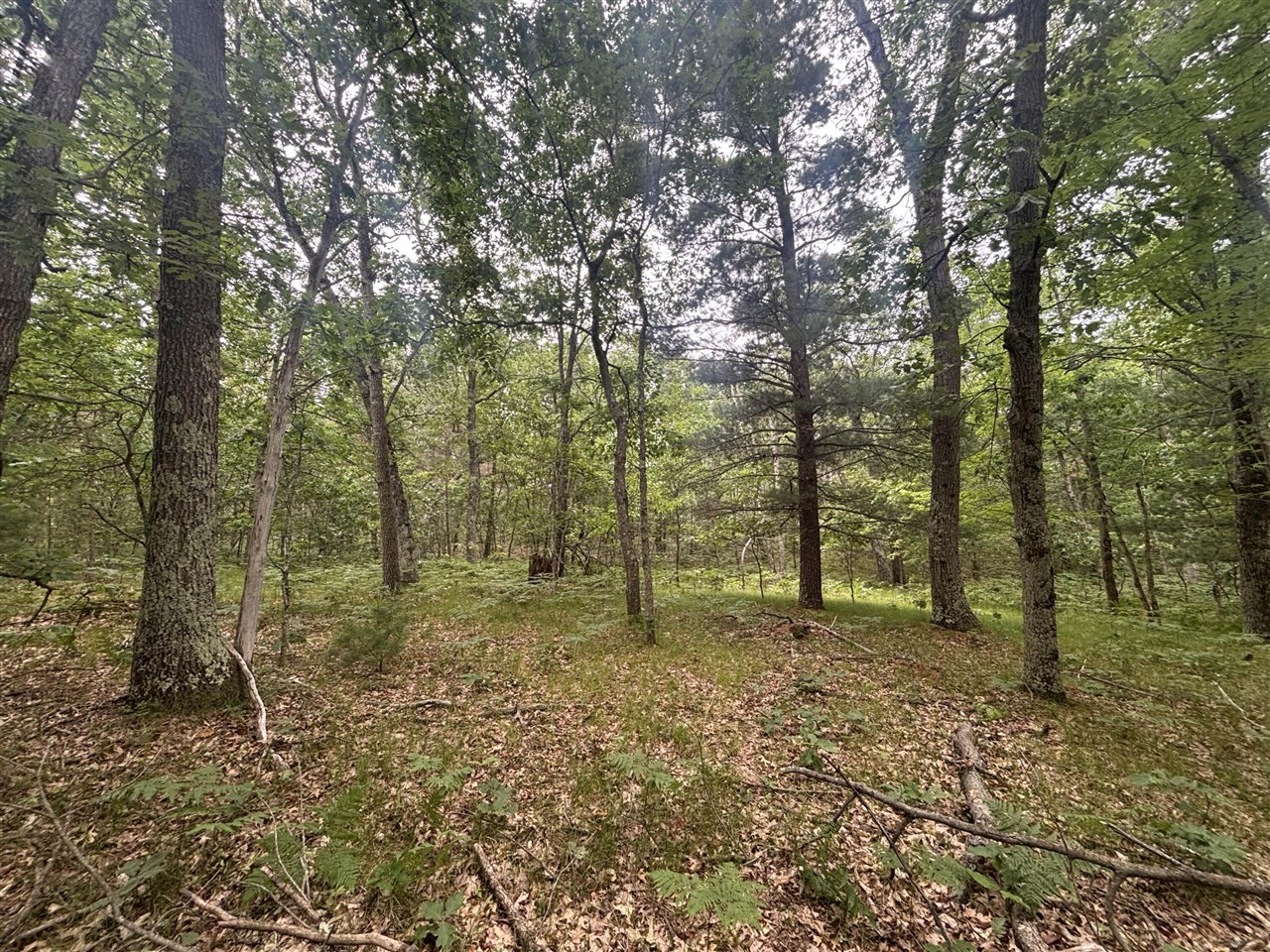 7376 West 7 Mile Road Mesick, MI 49668 - Photo 10 of 26 Gallery Image 10