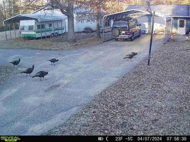 $379,900 | 5490 South Harrison Road, Houghton Lake, MI 48629