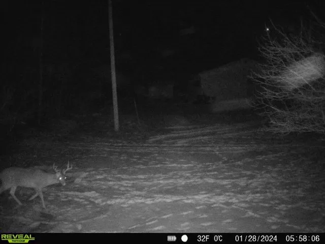 $379,900 | 5490 South Harrison Road, Houghton Lake, MI 48629