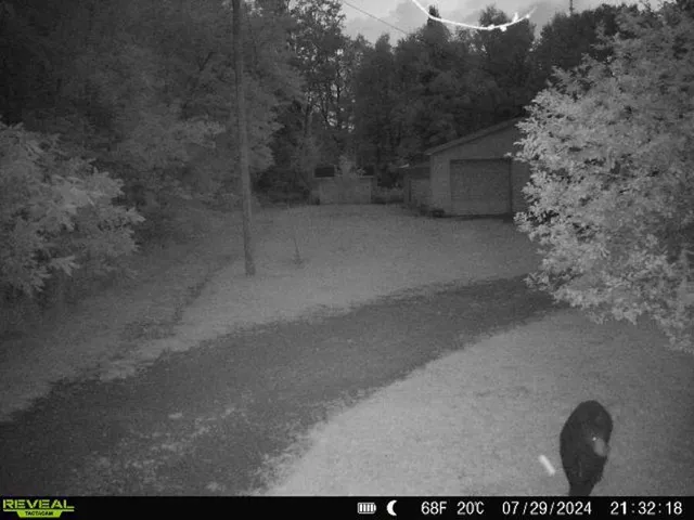 $379,900 | 5490 South Harrison Road, Houghton Lake, MI 48629