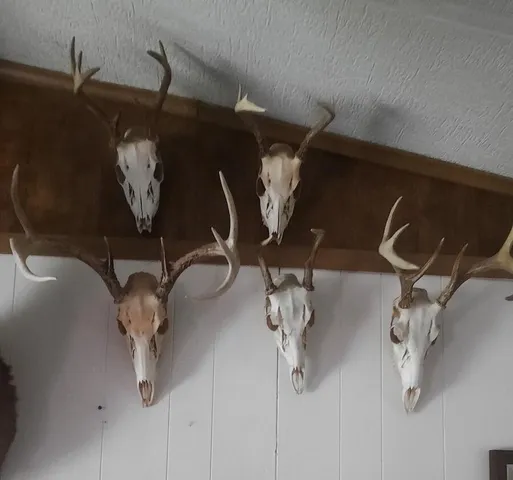 $379,900 | 5490 South Harrison Road, Houghton Lake, MI 48629