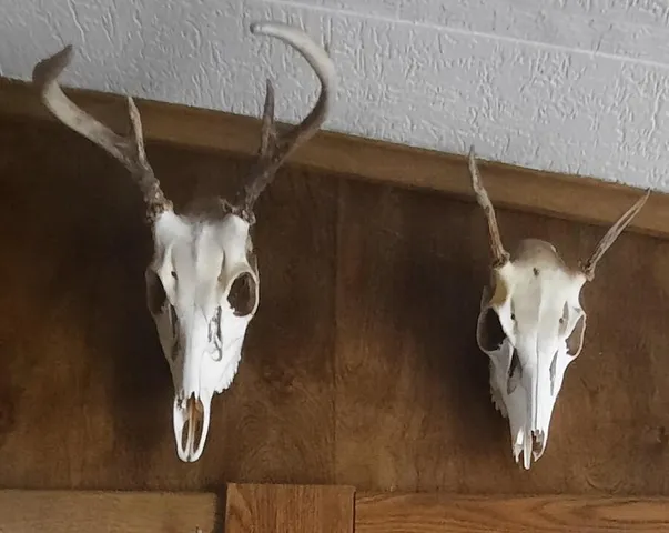 $379,900 | 5490 South Harrison Road, Houghton Lake, MI 48629