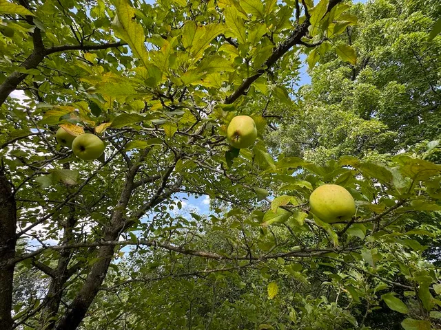 $379,900 | 5490 South Harrison Road, Houghton Lake, MI 48629