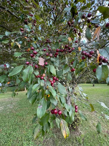 $379,900 | 5490 South Harrison Road, Houghton Lake, MI 48629