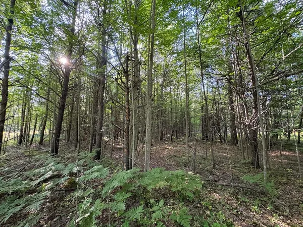 $379,900 | 5490 South Harrison Road, Houghton Lake, MI 48629