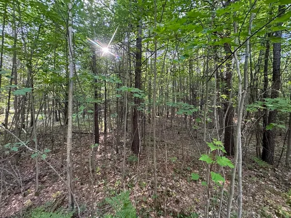 $379,900 | 5490 South Harrison Road, Houghton Lake, MI 48629