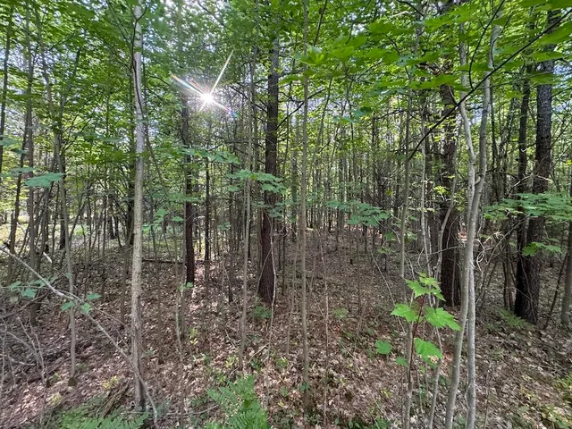 $379,900 | 5490 South Harrison Road, Houghton Lake, MI 48629