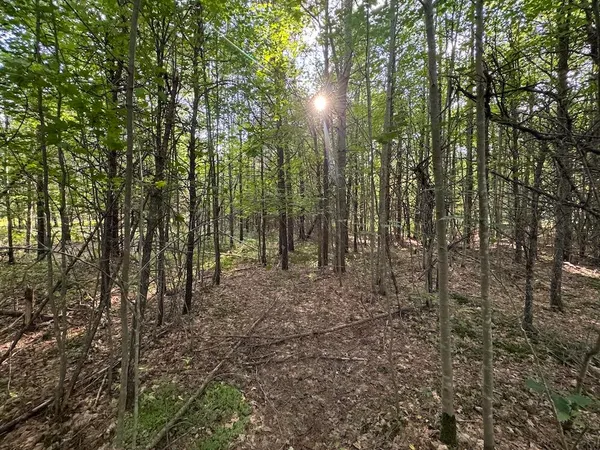 $379,900 | 5490 South Harrison Road, Houghton Lake, MI 48629