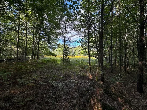 $379,900 | 5490 South Harrison Road, Houghton Lake, MI 48629