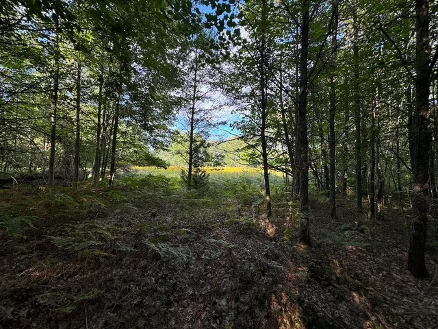 $379,900 | 5490 South Harrison Road, Houghton Lake, MI 48629