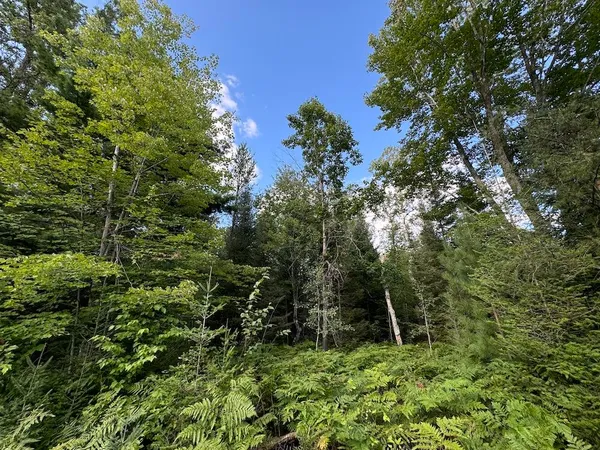 $379,900 | 5490 South Harrison Road, Houghton Lake, MI 48629