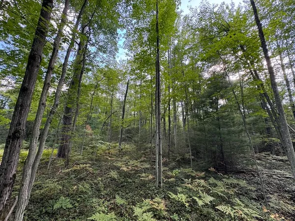 $379,900 | 5490 South Harrison Road, Houghton Lake, MI 48629